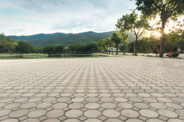 Best Local Driveway Pavers  in Newberry, SC
