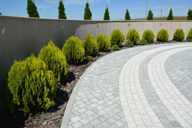 Best Driveway Pavers Contractor  in Newberry, SC